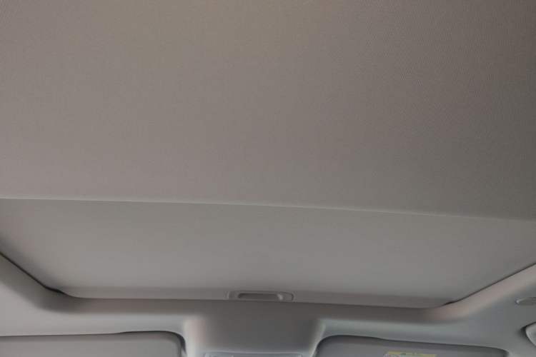 Used Tank 300 2024 2.0T Crosser Headliner