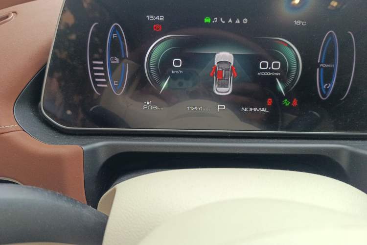 Used ORA Good Cat 2024 401 km Luxury Version Odometer Close Up