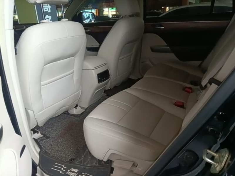 Used GAC Trumpchi GS8 2017 320T Two-Wheel Drive Luxury Smart Connectivity Version (7 Seats) — 16