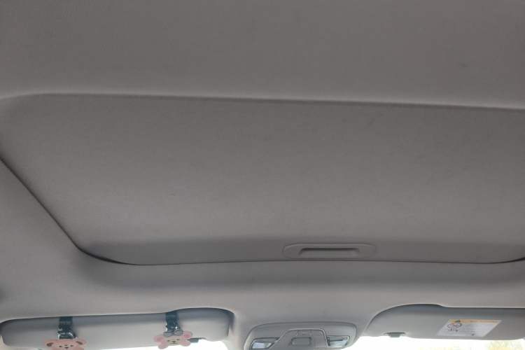 Used Geely Auto Vision X3 2021 PRO 1.5L CVT Deluxe Model Headliner