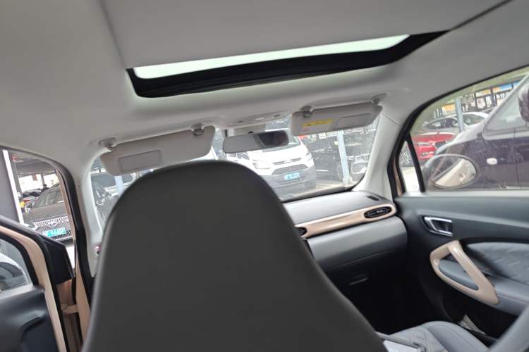 Used Leapmotor T03 2021 400 Luxury Edition Headliner