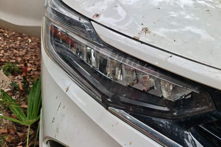 Used Honda Envix 2019 180TURBO CVT Enjoyment Edition China V