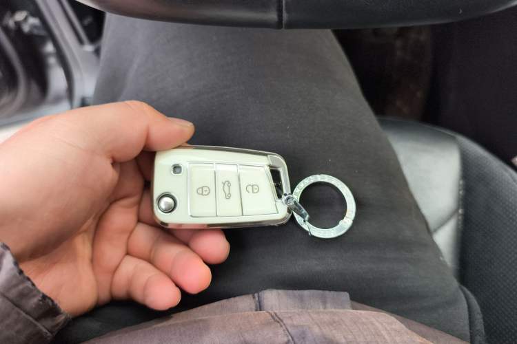 Used Volkswagen Tayron 2019 330TSI Two-Wheel Drive Luxury Model China VI Standard
