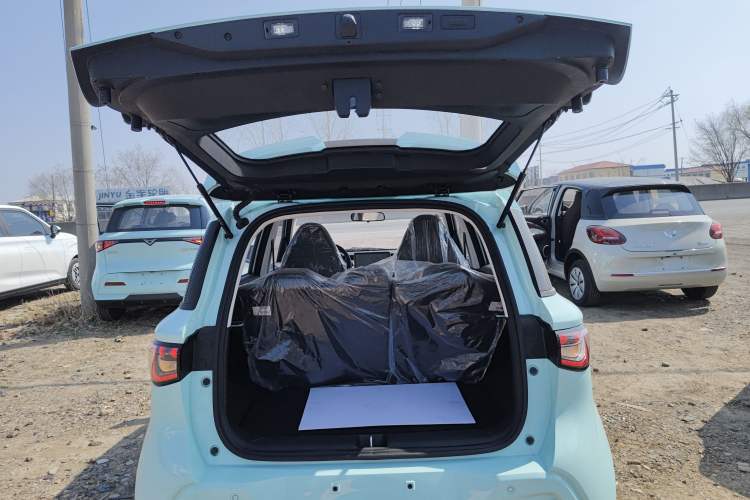 Used Cowin October 2025 Mate 300km Surfing Edition