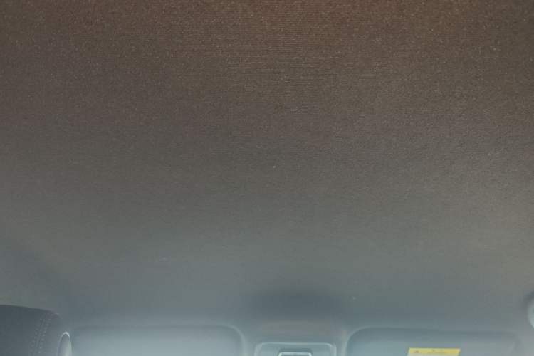 Used BYD Seagull 2023 Free Edition Headliner