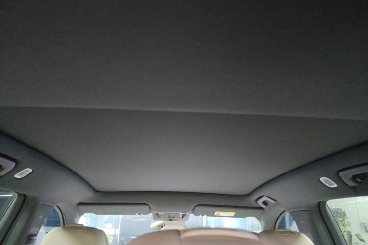 Used Li Auto L6 2024 Pro Model Headliner