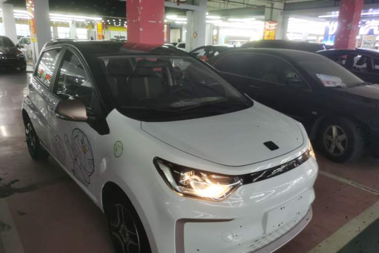 Used SOL E10X 2022 Flower Fairy Design Four-Leaf Clover