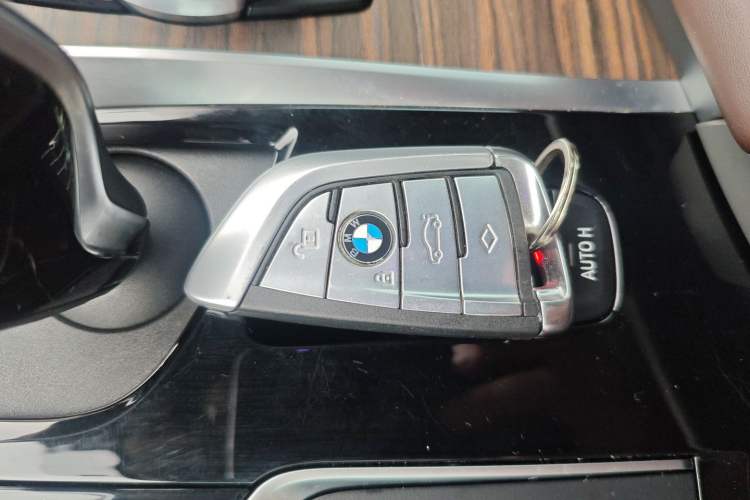 Used BMW 5 Series New Energy 2019 530Le Luxury Package