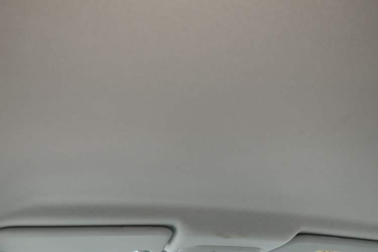 Used Ford Escort 2021 1.5L Automatic Gold Edition Headliner