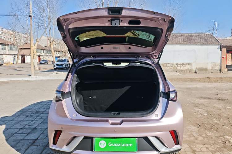 Used BYD Dolphin 2024 Honor Edition 420km Freedom Version