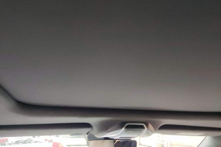 Used Geely Auto Preface 2023 2.0TD "Only This Verdant Green" Edition Headliner