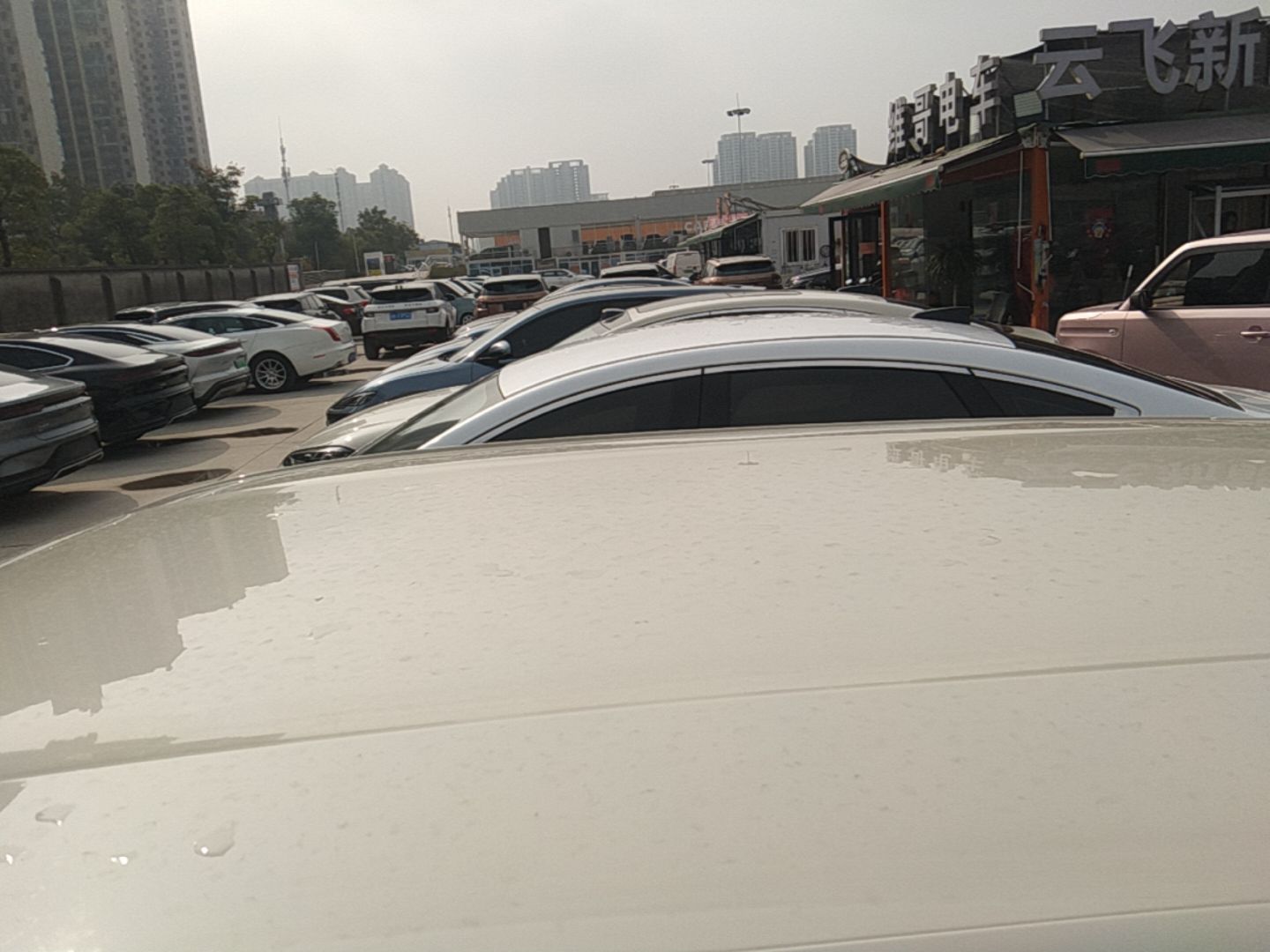BYD Seagull 2025 Intelligent Driving Version 305 km Dynamic Edition — снимка 7