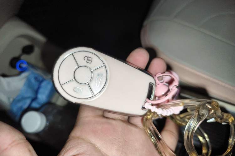 Used ORA Good Cat 2022 Morandi Edition 400km Standard Range Luxury Version Lithium Iron Phosphate
