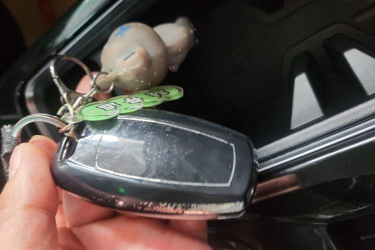 Used Haval DARGO 2021 2.0T DCT Two-Wheel Drive Chinese Mastiff Edition