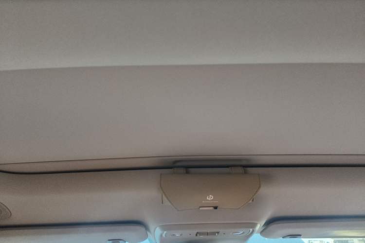 Used Leapmotor C16 2024 Pure Electric 520 Deluxe Edition Headliner