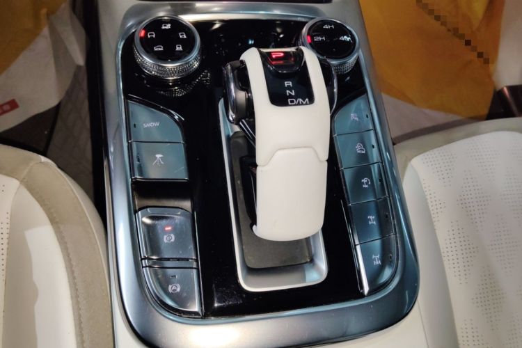 Used Cyberspace Tank 300 2021 2.0T Cyber Tank