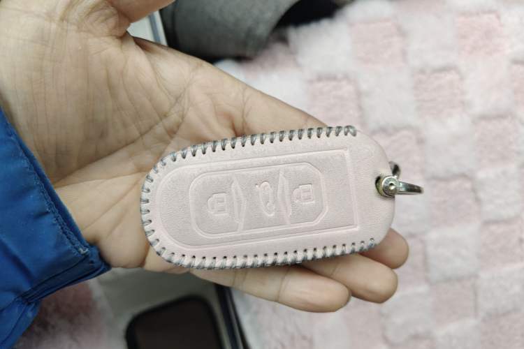 Used Geely Galaxy Panda 2023 Panda Mini 200km Endurance Bear