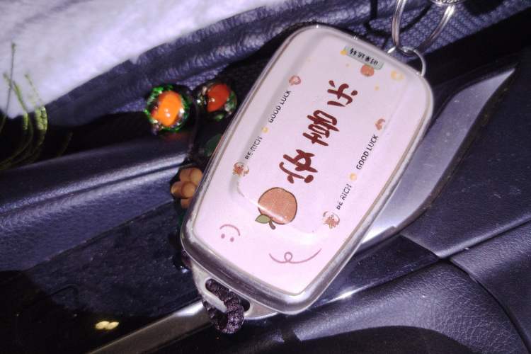 Used Toyota Levin 2021 185T CVT Luxury Edition Vehicle Key