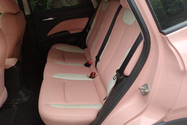 Used NETA V 2022 Chao 400 Lite Pink Custom Edition Left Rear Seat