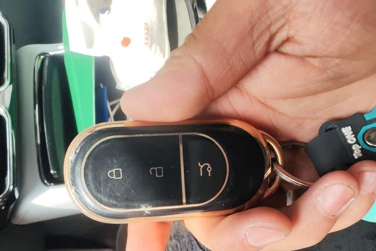 Used Leapmotor C01 2022 Rear-Drive Standard Range Version
