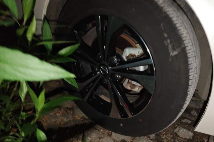 Used Nissan Sylphy 2021 1.6L XL CVT Enjoyment Edition
