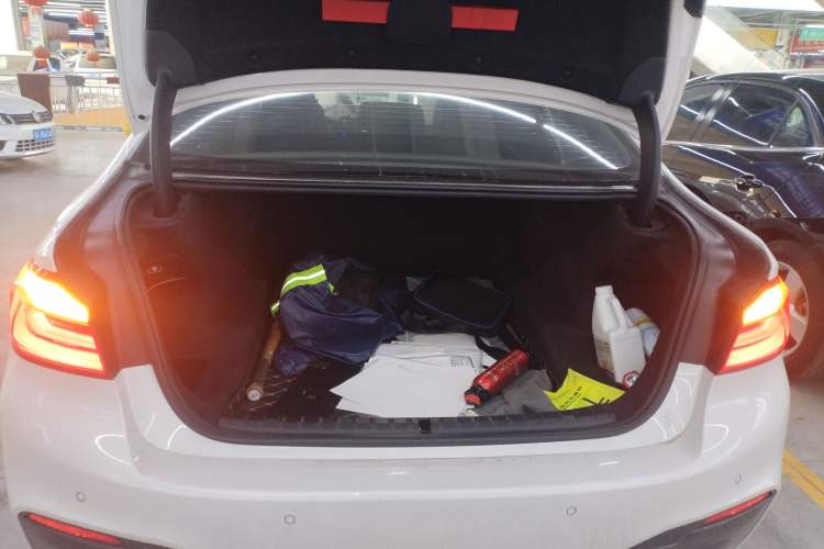 Used BMW 5 Series 2019 530Li Leading Model M Sport Package