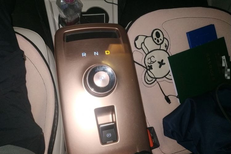 Used Geometry E Firefly 2023 401 km Super-Liked Special Edition 5 Seats