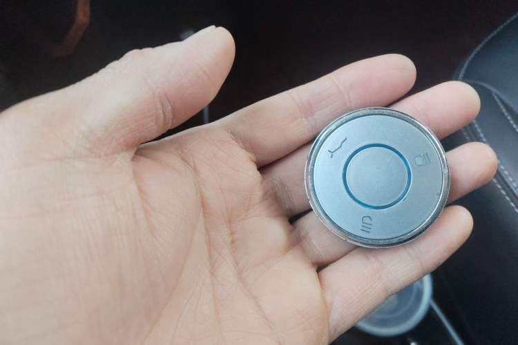 Used NETA V 2021 Long-Range Entertainment Edition Upgrade Model
