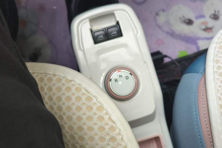 Used Chery QQ Ice Cream 2024 Edition Youth Version 205km Sundae