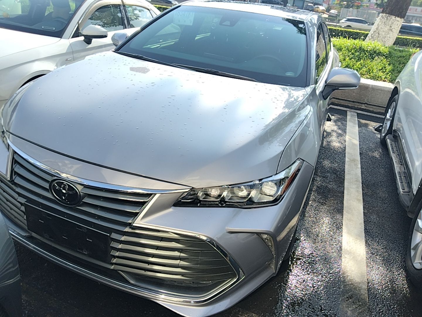 Under Front Bumper