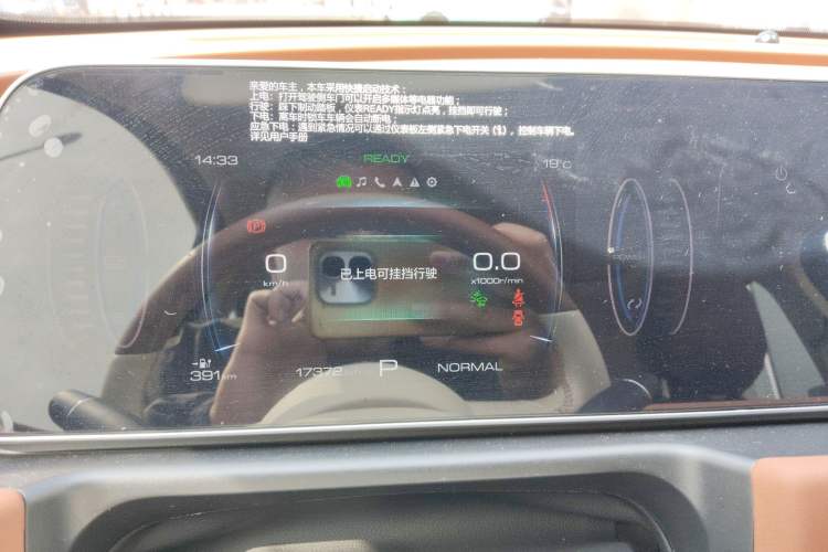 Used ORA Good Cat 2024 401 km Luxury Version