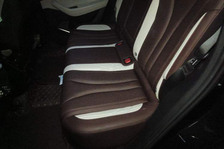 Used Geely Auto Monjaro L 2021 2.0TD DCT EVO Two-Wheel Drive Prestige Version Left Rear Seat