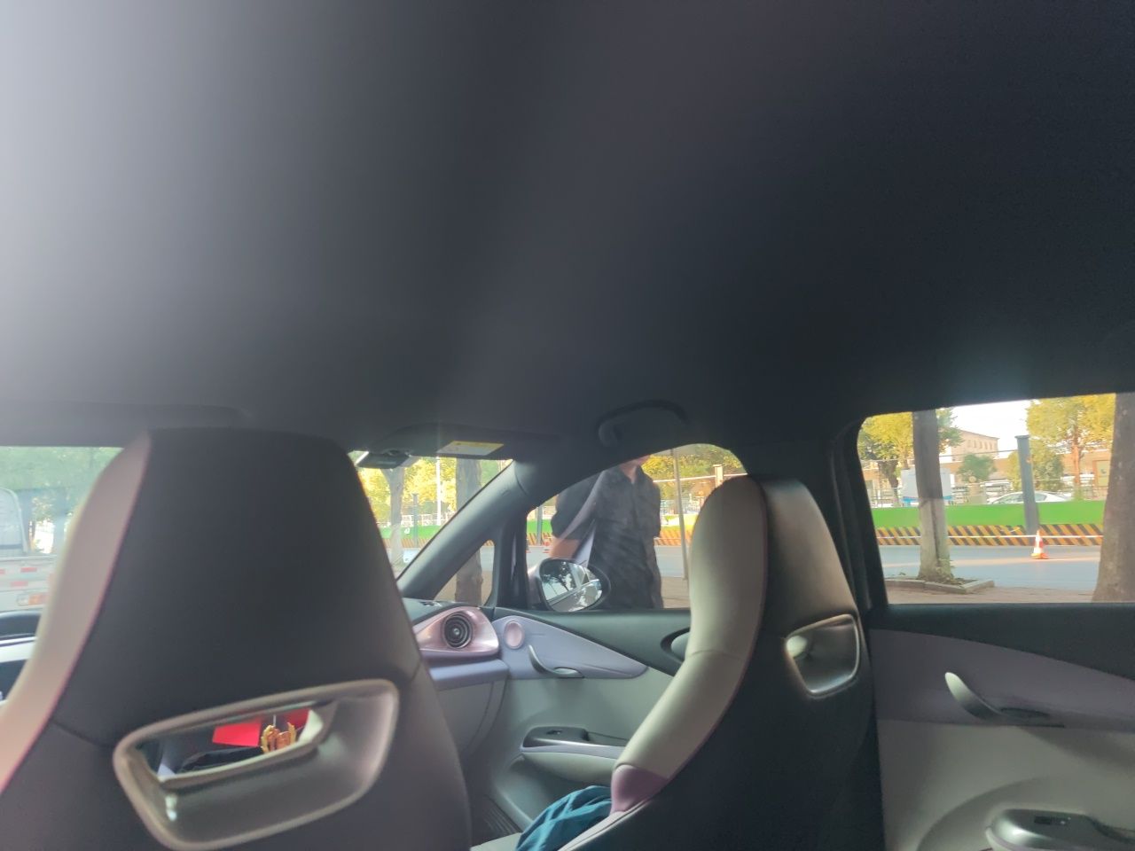 BYD Dolphin 2021 405 km Free Version — снимка 18