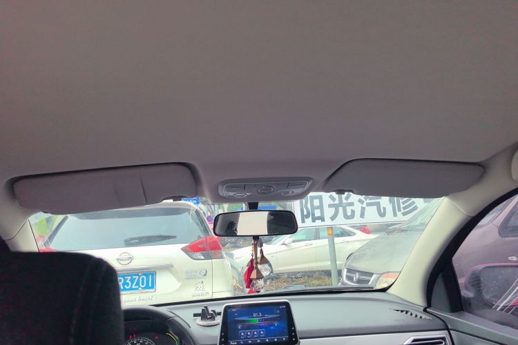 Used Dayun Yuehu 2022 300 Standard Edition Headliner