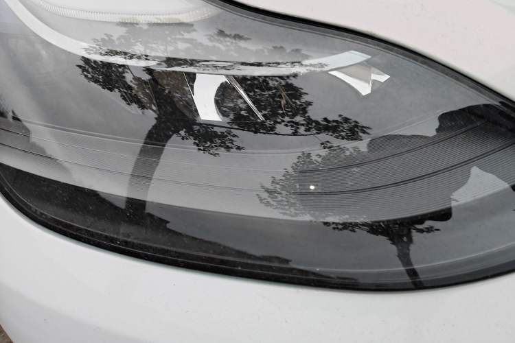 Used Tesla Model Y 2021 Long-Range All-Wheel-Drive Version 3D7