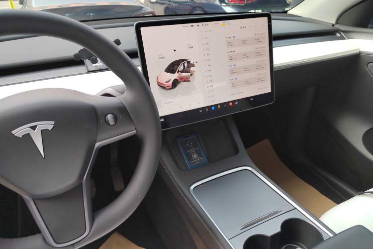 Used Tesla Model Y 2022 Revised Version Rear-Wheel Drive Gear Lever