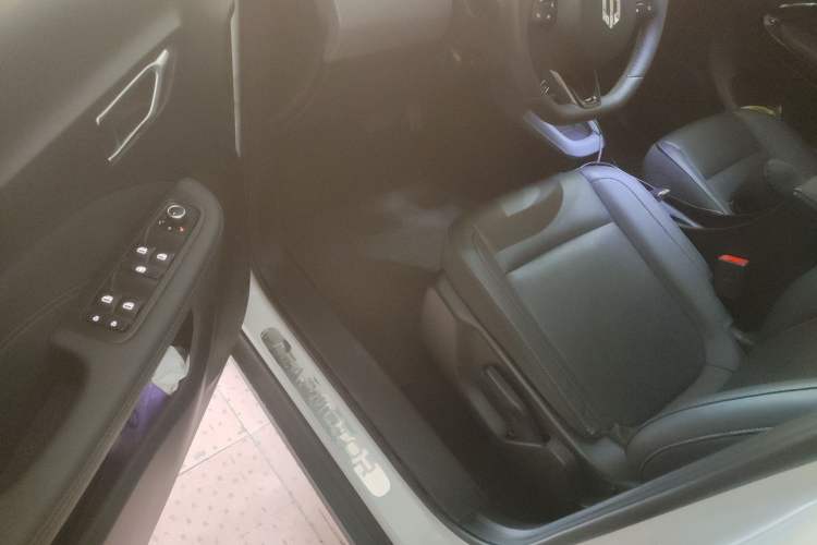 Used Leapmotor T03 2020 400 Luxury Edition Driver Seat