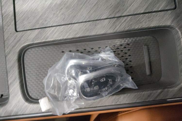 Used Wey Gaoshan 2025 Four-Wheel Drive Alpine 8
