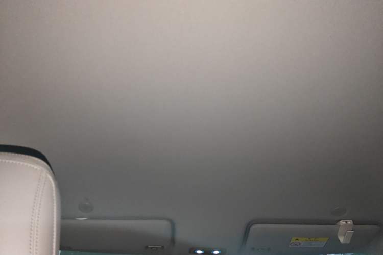 Used BYD Yuan UP 2024 401KM Leading Edition
