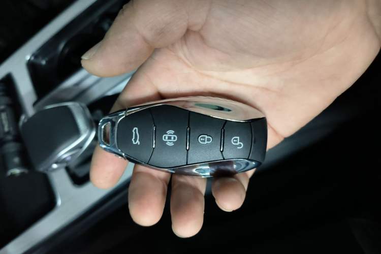 Used Hongqi HS5 2025 2.0T Two-Wheel Drive Flagship Pro Edition