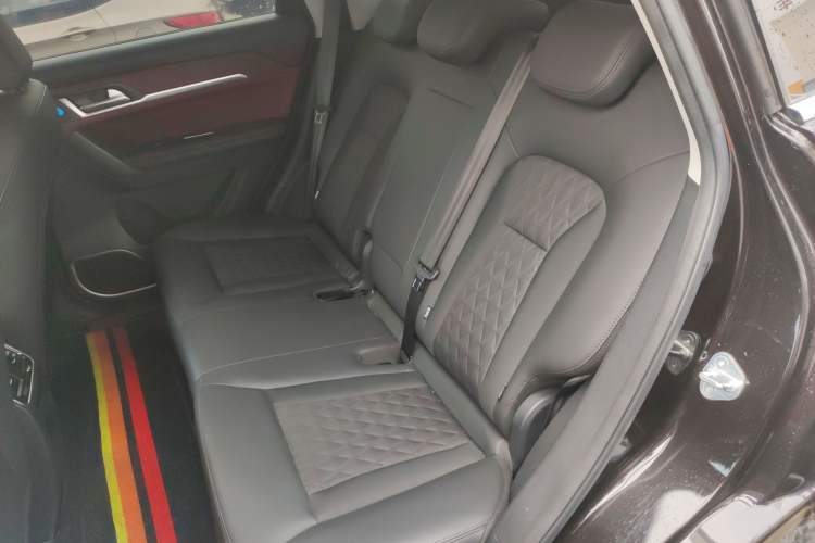 Used Haval H6 Coupe 2020 Smart Connect Version 1.5T Automatic Two-Wheel Drive Elite Model Left Rear Seat