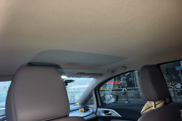 Used Geometry E Firefly 2022 401KM Lightning Tiger 4-Seater
