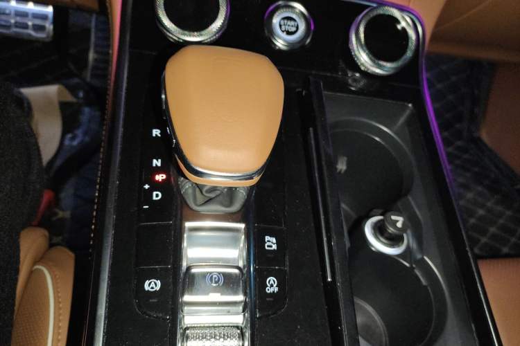 Used Hongqi H9 2020 2.0T Smart Connect Flagship Edition
