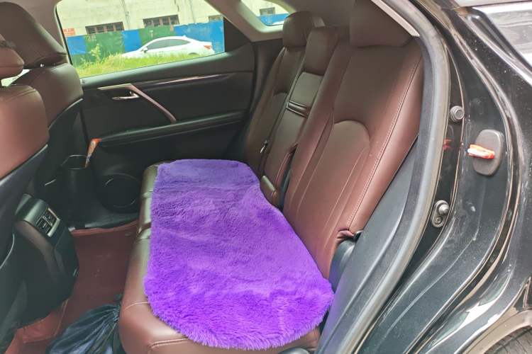 Used Lexus RX 2020 Revised Version 300 Two-Wheel Drive Comfort Edition Left Rear Seat