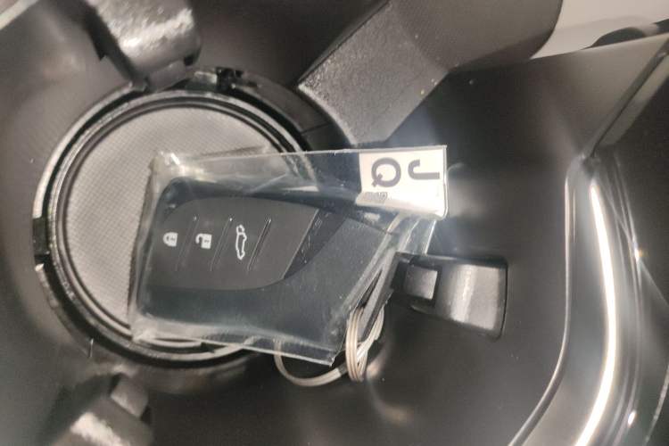 Used Lexus RX 2025 300 Four-Wheel Drive Junxiang Edition
