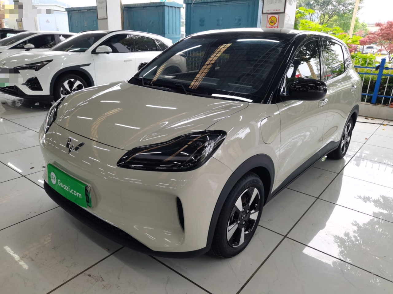 Parte inferior delantera