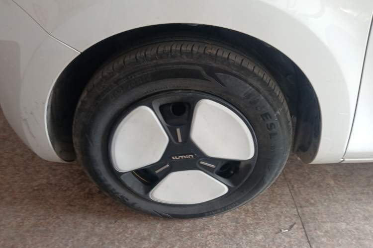 Used Qiyuan Lumin 2023 205km Xiangqin Version