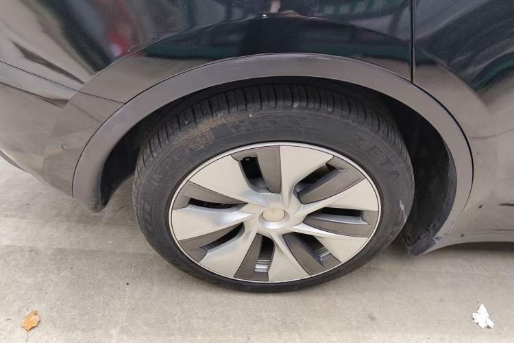 Used Tesla Model Y 2021 Standard Range Rear-Wheel Drive Version
