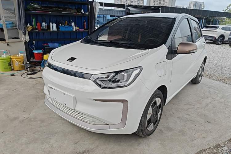 Used SOL E10X 2022 Flower Fairy Design Four-Leaf Clover