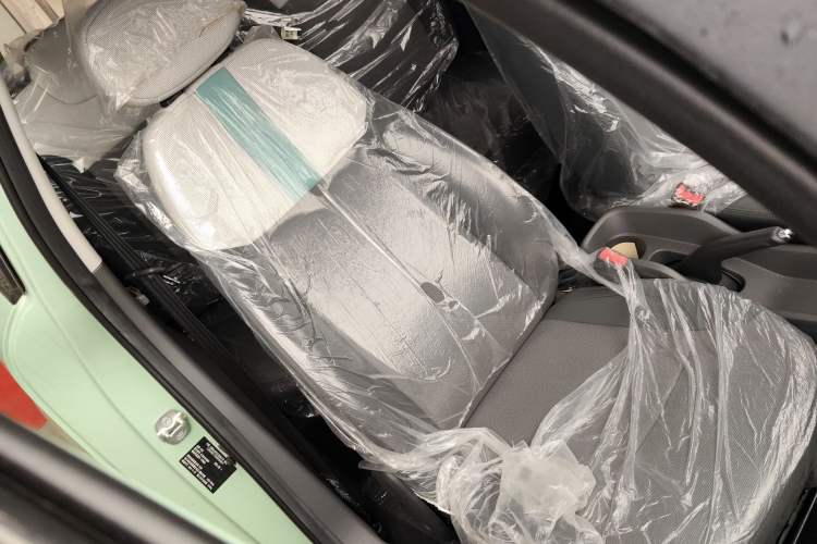 Used Qiyuan Lumin 2023 301km Honey Dew Edition
